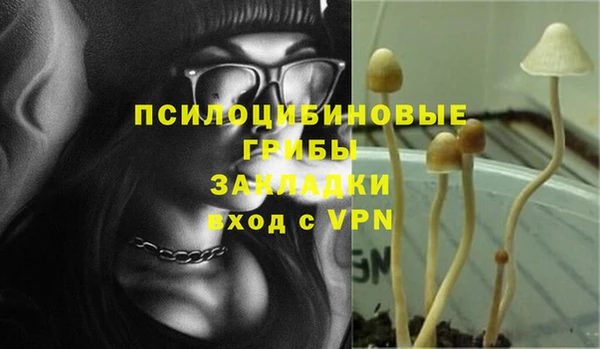 ALPHA PVP Алексин