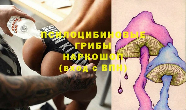 ешки Алексеевка