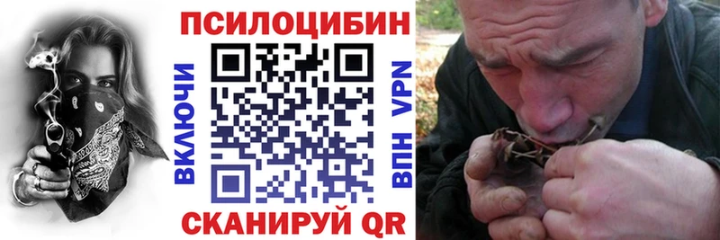 продажа наркотиков  Чухлома  Галлюциногенные грибы прущие грибы 